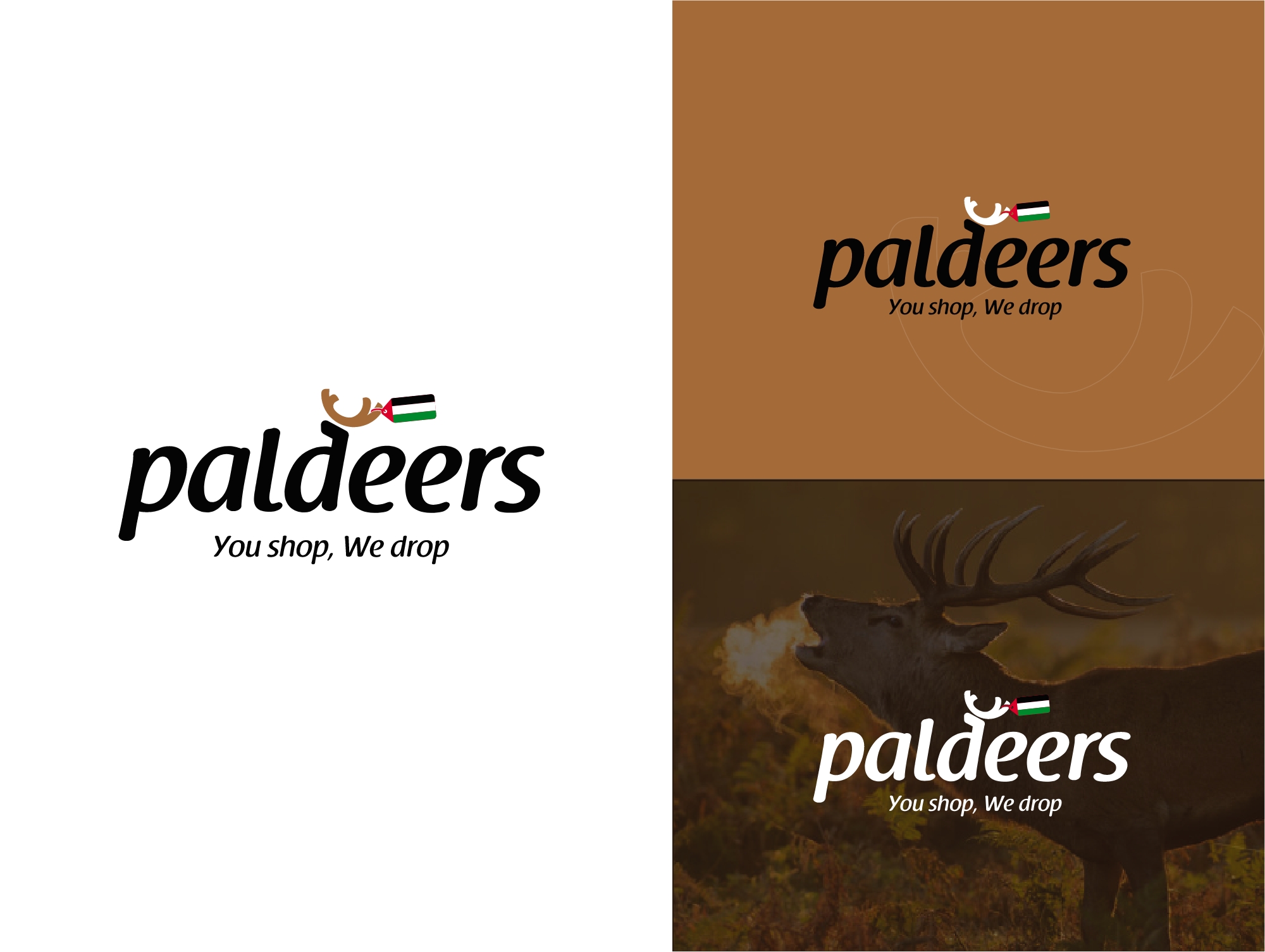 Designing a logo for Paldears